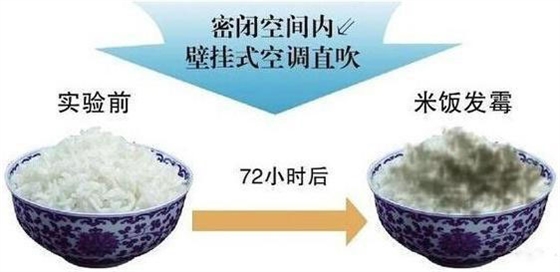 臟污空調細菌實驗