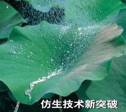 超分子膜化仿荷葉膜去污