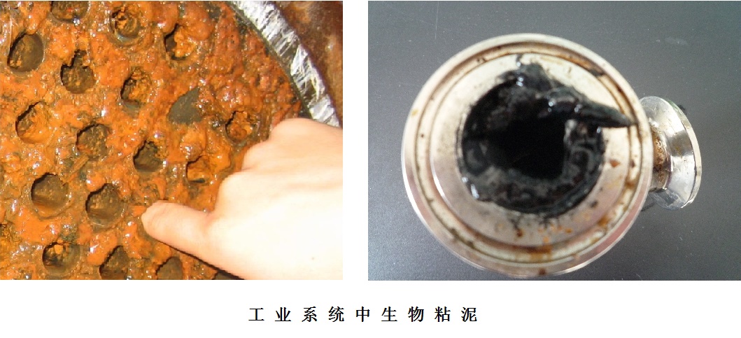 工業系統粘泥污垢